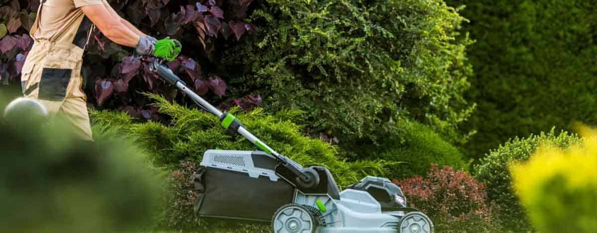 Professional Hardscaping Contractors in Encino